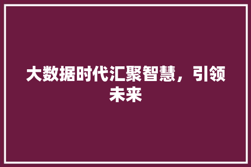 大数据时代汇聚智慧，引领未来  第1张