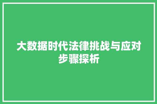 大数据时代法律挑战与应对步骤探析  第1张