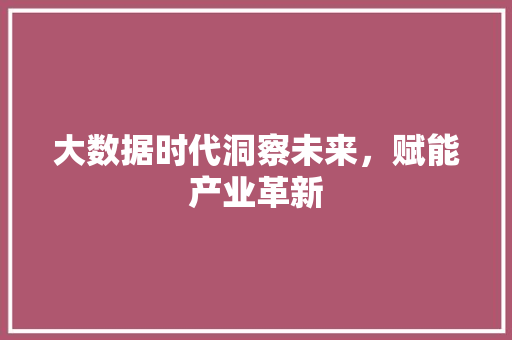 大数据时代洞察未来，赋能产业革新  第1张