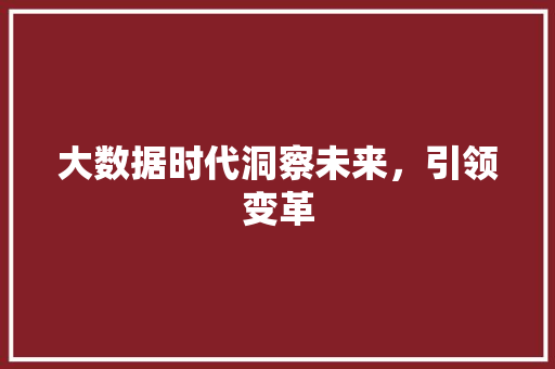 大数据时代洞察未来，引领变革