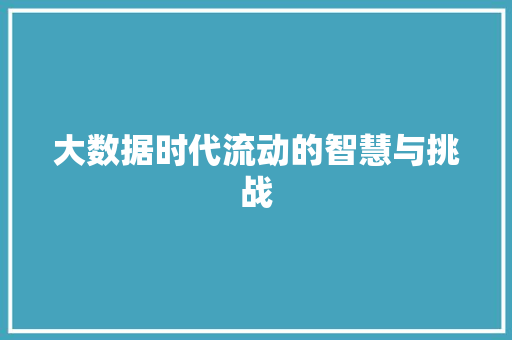 大数据时代流动的智慧与挑战  第1张