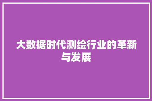 大数据时代测绘行业的革新与发展