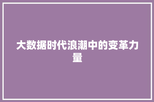 大数据时代浪潮中的变革力量  第1张