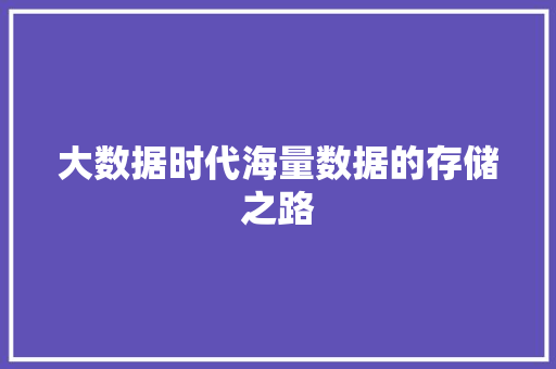 大数据时代海量数据的存储之路  第1张