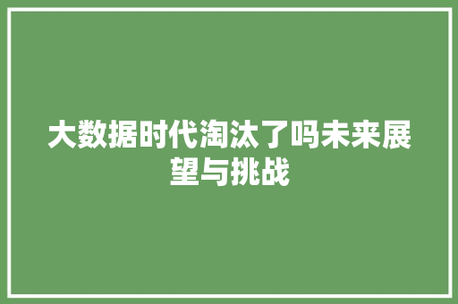 大数据时代淘汰了吗未来展望与挑战  第1张