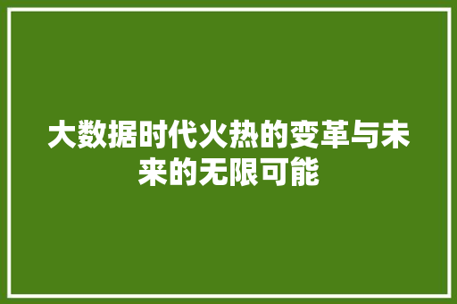 大数据时代火热的变革与未来的无限可能