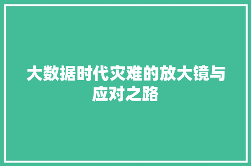大数据时代灾难的放大镜与应对之路  第1张