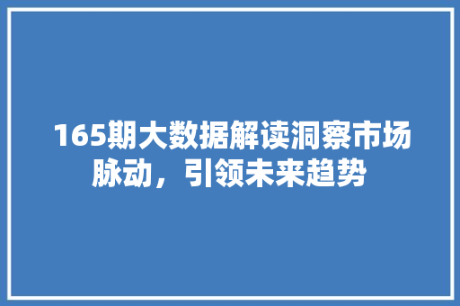 165期大数据解读洞察市场脉动，引领未来趋势