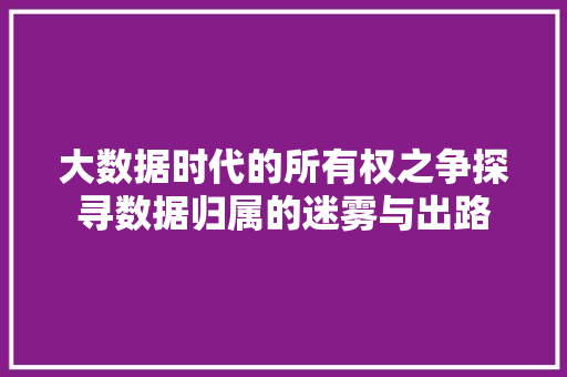 大数据时代的所有权之争探寻数据归属的迷雾与出路  第1张