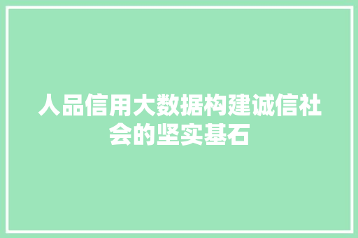 人品信用大数据构建诚信社会的坚实基石