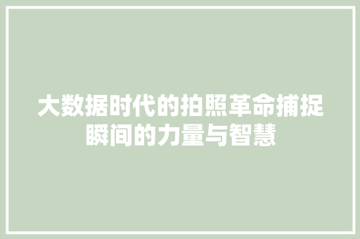 大数据时代的拍照革命捕捉瞬间的力量与智慧