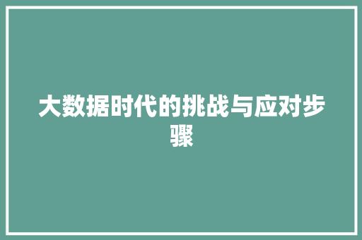 大数据时代的挑战与应对步骤  第1张