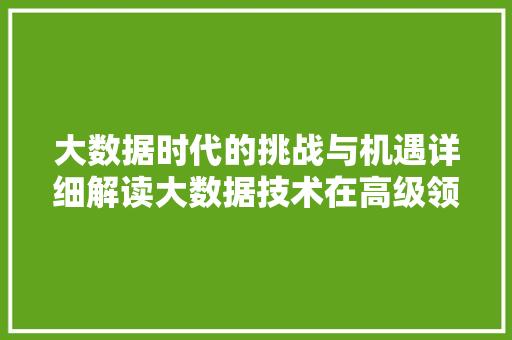 大数据时代的挑战与机遇详细解读大数据技术在高级领域的应用与发展  第1张