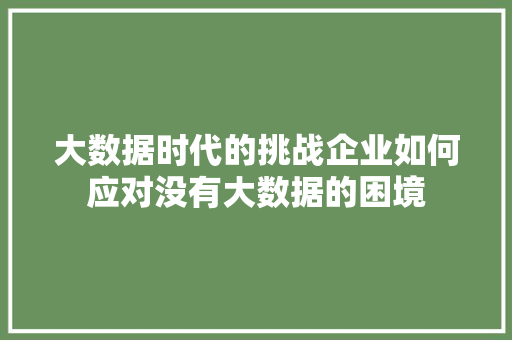 大数据时代的挑战企业如何应对没有大数据的困境
