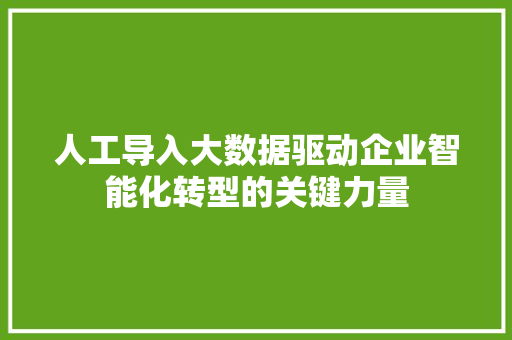人工导入大数据驱动企业智能化转型的关键力量  第1张