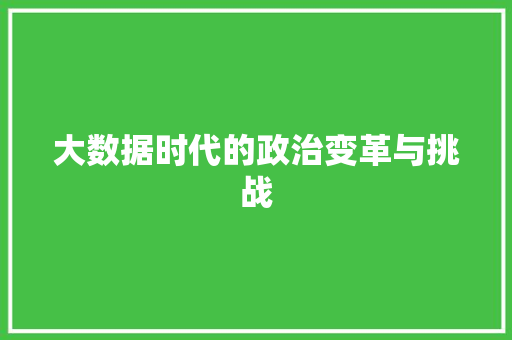 大数据时代的政治变革与挑战