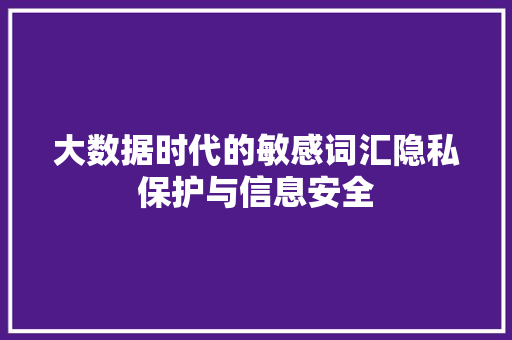 大数据时代的敏感词汇隐私保护与信息安全