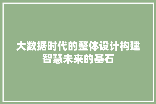 大数据时代的整体设计构建智慧未来的基石  第1张