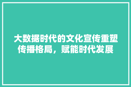 大数据时代的文化宣传重塑传播格局，赋能时代发展  第1张