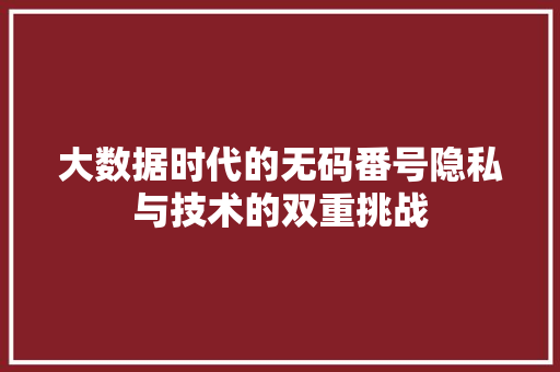 大数据时代的无码番号隐私与技术的双重挑战  第1张