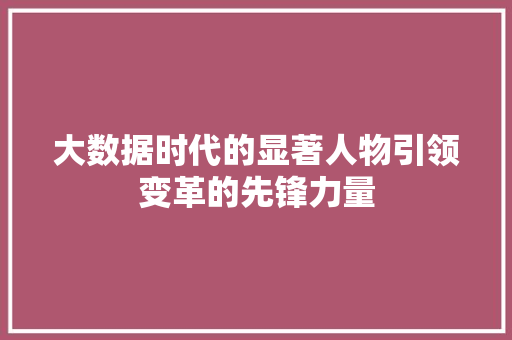 大数据时代的显著人物引领变革的先锋力量  第1张