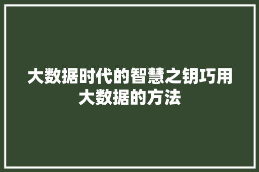 大数据时代的智慧之钥巧用大数据的方法  第1张