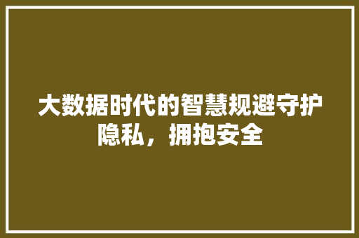 大数据时代的智慧规避守护隐私，拥抱安全  第1张