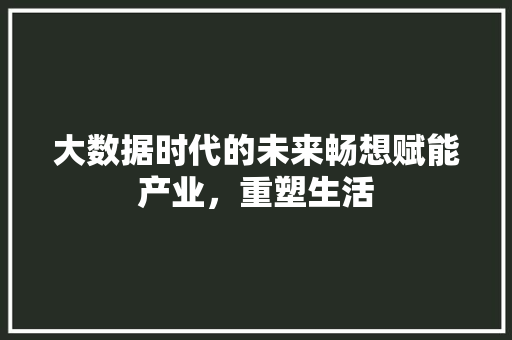 大数据时代的未来畅想赋能产业，重塑生活
