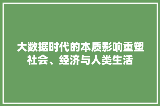 大数据时代的本质影响重塑社会、经济与人类生活