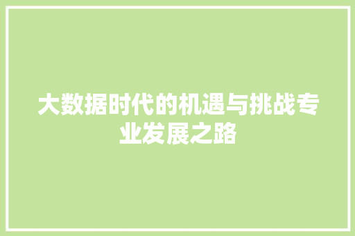 大数据时代的机遇与挑战专业发展之路