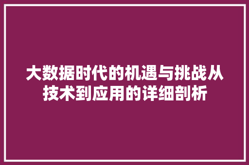 大数据时代的机遇与挑战从技术到应用的详细剖析  第1张