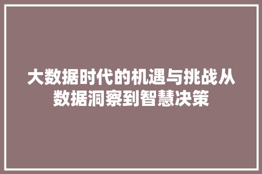 大数据时代的机遇与挑战从数据洞察到智慧决策  第1张