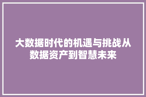 大数据时代的机遇与挑战从数据资产到智慧未来