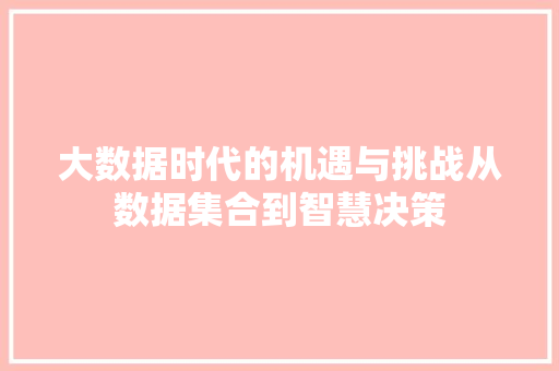 大数据时代的机遇与挑战从数据集合到智慧决策