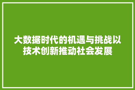 大数据时代的机遇与挑战以技术创新推动社会发展