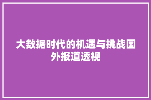 大数据时代的机遇与挑战国外报道透视  第1张