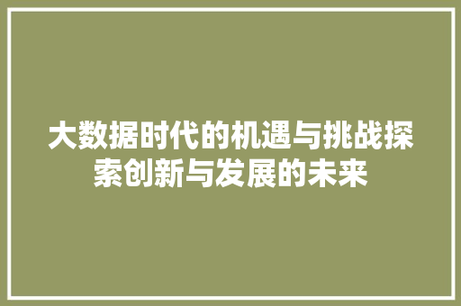 大数据时代的机遇与挑战探索创新与发展的未来  第1张