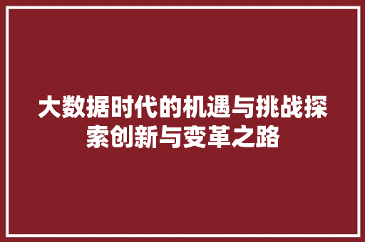 大数据时代的机遇与挑战探索创新与变革之路  第1张
