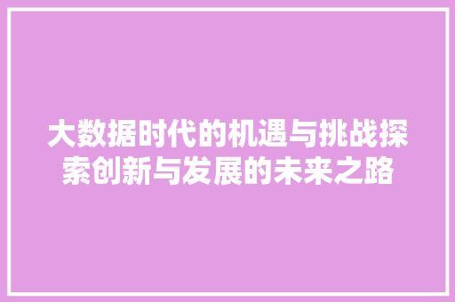 大数据时代的机遇与挑战探索创新与发展的未来之路  第1张
