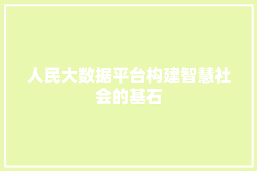 人民大数据平台构建智慧社会的基石  第1张