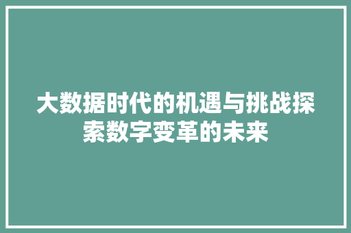 大数据时代的机遇与挑战探索数字变革的未来