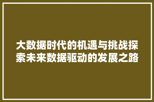 大数据时代的机遇与挑战探索未来数据驱动的发展之路  第1张