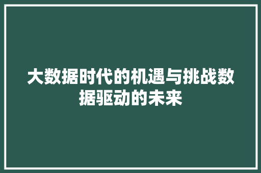 大数据时代的机遇与挑战数据驱动的未来  第1张