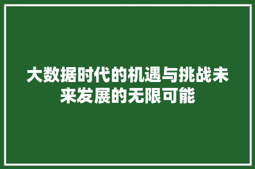大数据时代的机遇与挑战未来发展的无限可能