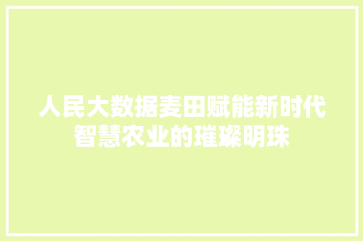 人民大数据麦田赋能新时代智慧农业的璀璨明珠