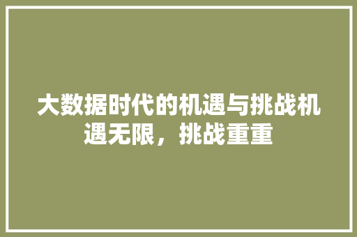 大数据时代的机遇与挑战机遇无限，挑战重重  第1张