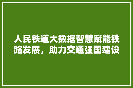 人民铁道大数据智慧赋能铁路发展，助力交通强国建设