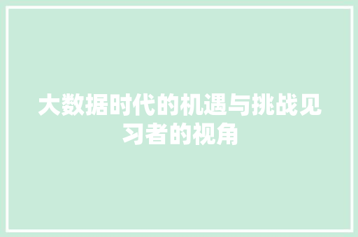 大数据时代的机遇与挑战见习者的视角  第1张