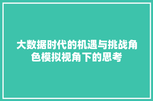 大数据时代的机遇与挑战角色模拟视角下的思考