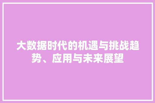大数据时代的机遇与挑战趋势、应用与未来展望